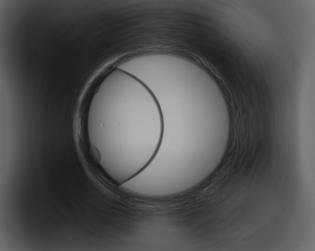 X0000098100726200804040746