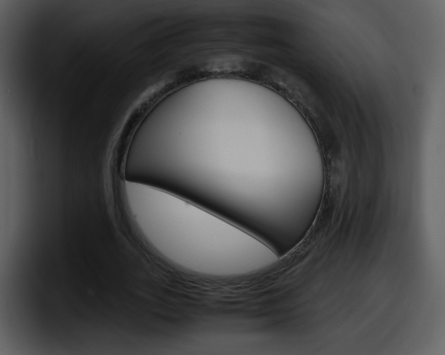 X0000098100727200804040746