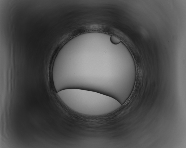 X0000098100729200804040746
