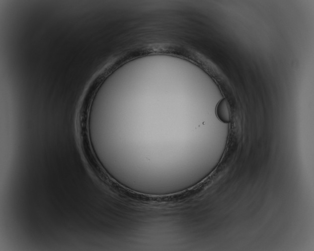 X0000098100730200804040746