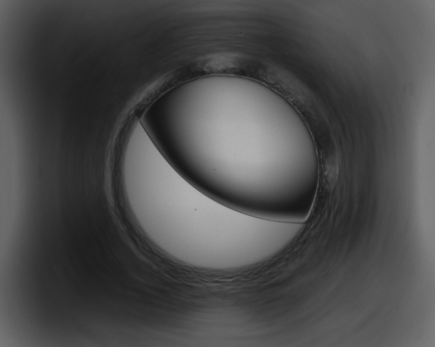 X0000098100732200804040746