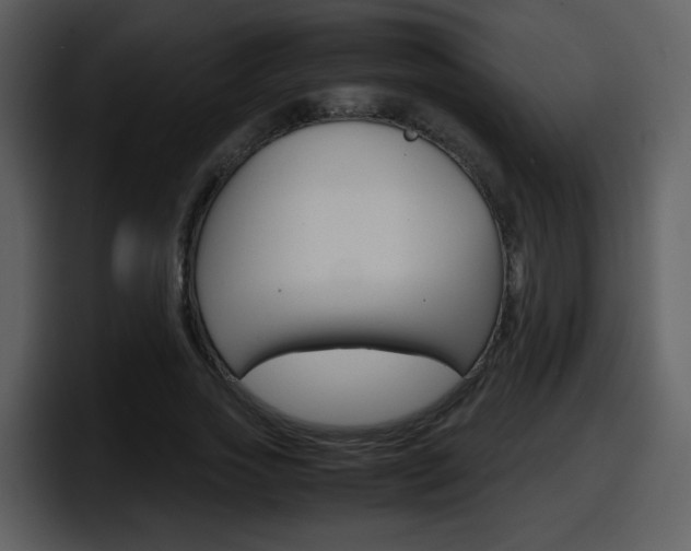 X0000098100733200804040746