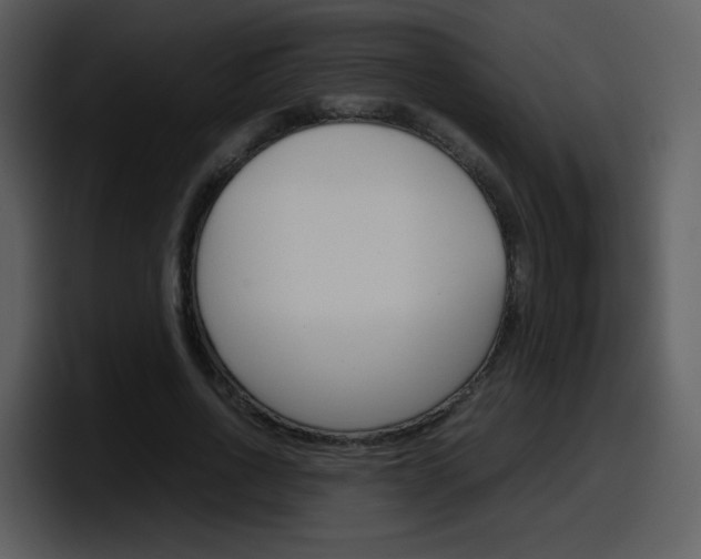 X0000098100734200804040746