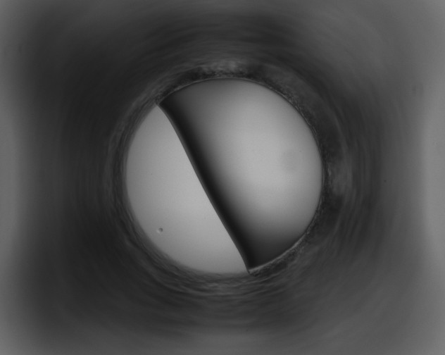 X0000098100735200804040746