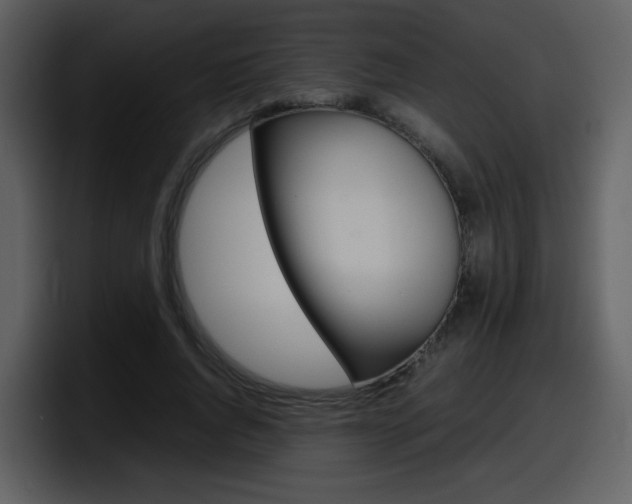 X0000098100736200804040746