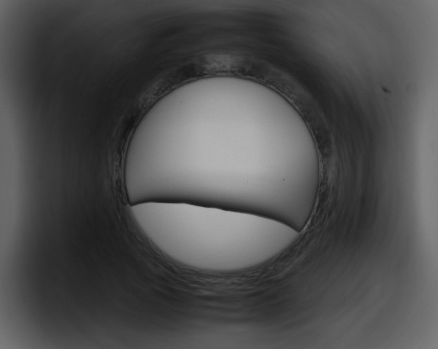 X0000098100737200804040746