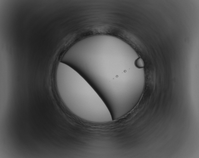 X0000098100738200804040746