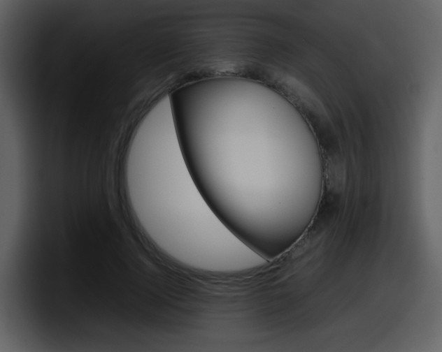 X0000098100740200804040746