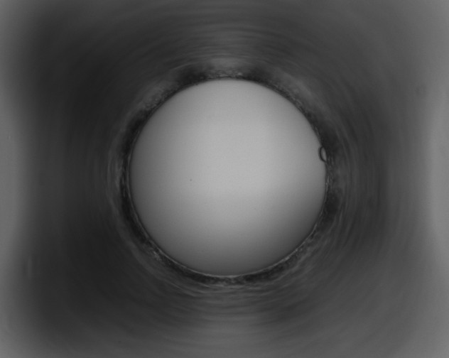 X0000098100742200804040746