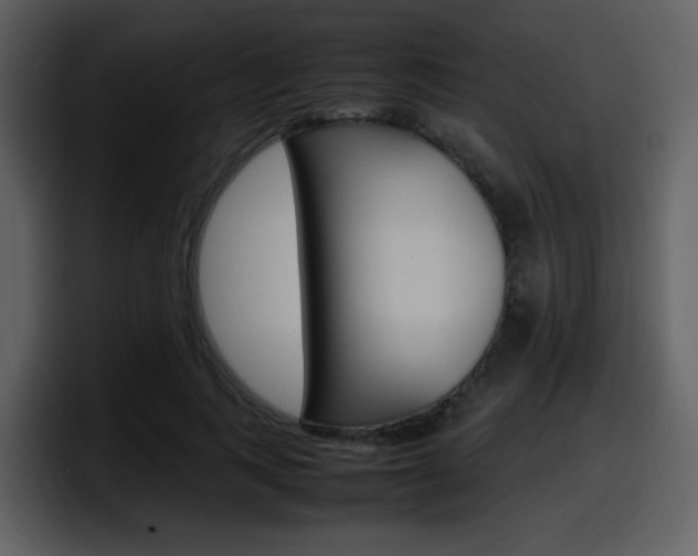 X0000098100743200804040746