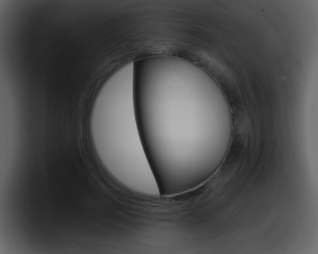 X0000098100744200804040746