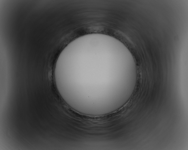 X0000098100745200804040746