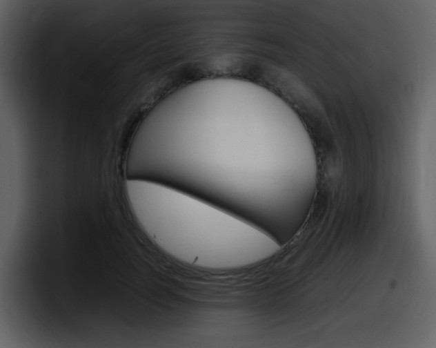X0000098100746200804040746