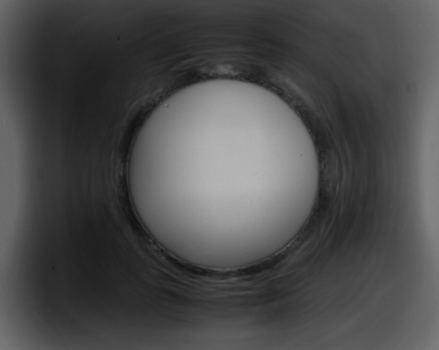 X0000098100747200804040746