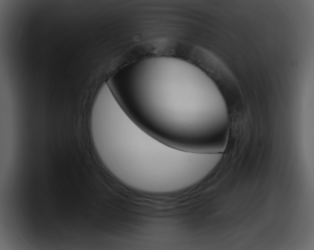 X0000098100748200804040746