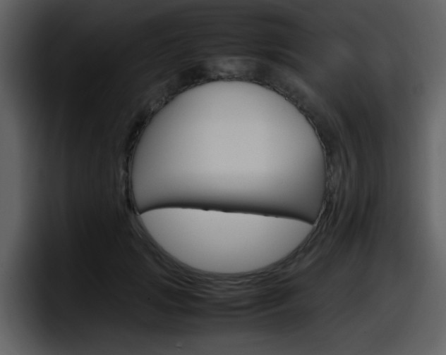 X0000098100749200804040746