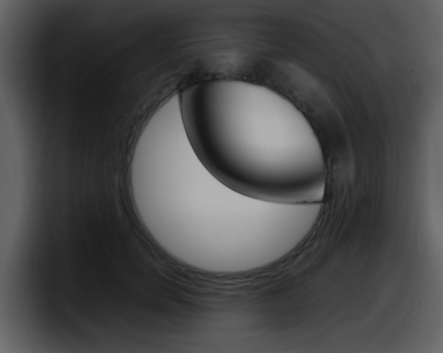 X0000098100750200804040746