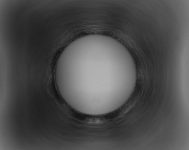 X0000098100751200804040746