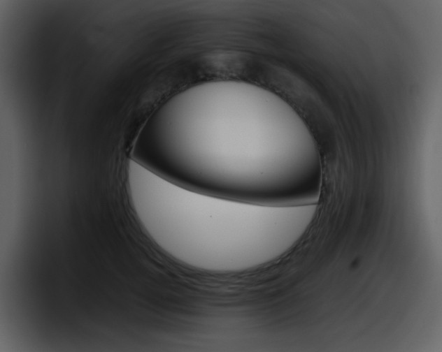 X0000098100752200804040746
