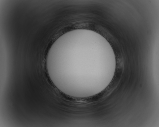 X0000098100753200804040746
