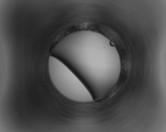 X0000098100754200804040746