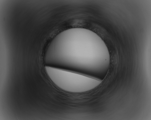 X0000098100755200804040746