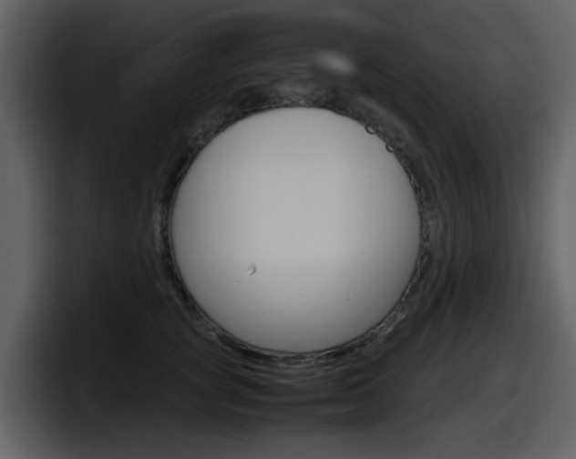 X0000098100757200804040746
