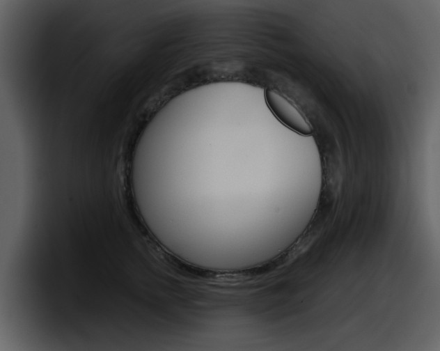 X0000098100758200804040746