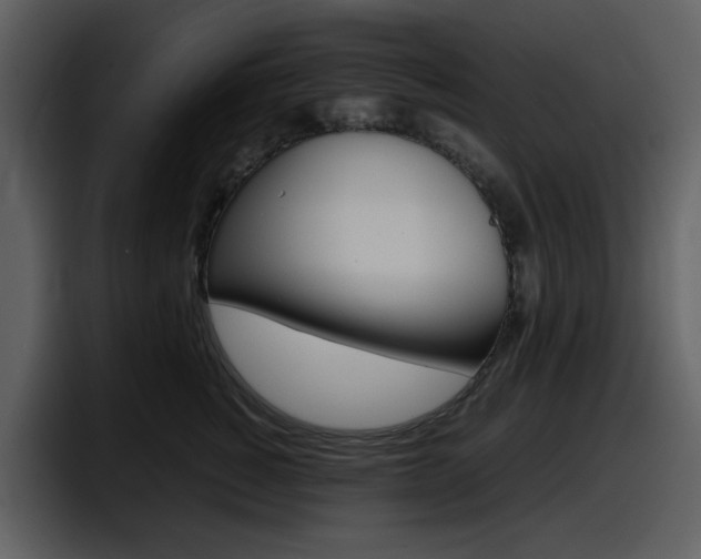 X0000098100760200804040746