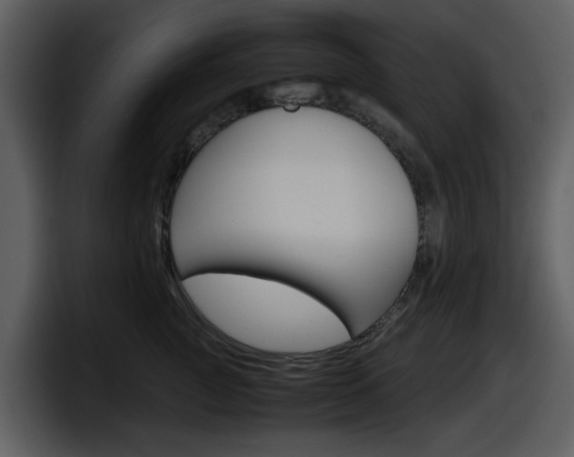 X0000098100761200804040746