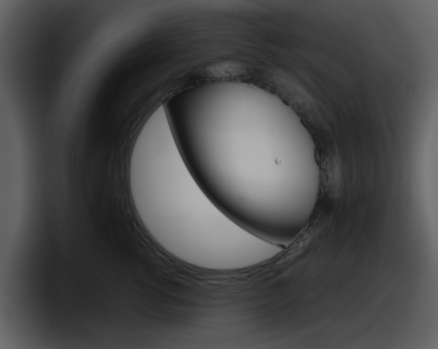 X0000098100762200804040746