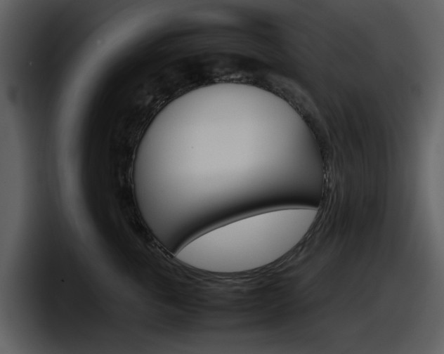 X0000098100763200804040746