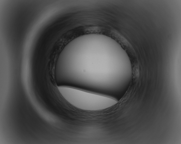 X0000098100764200804040746