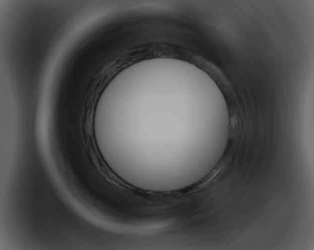 X0000098100765200804040746