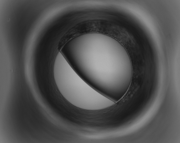 X0000098100766200804040746