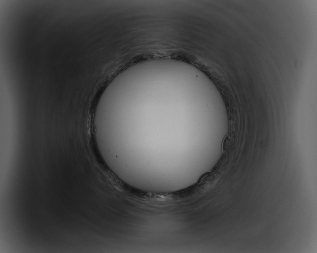 X0000098100768200804040746