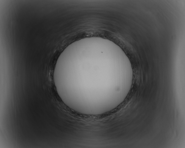 X0000098100770200804040745