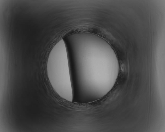 X0000098100771200804040745