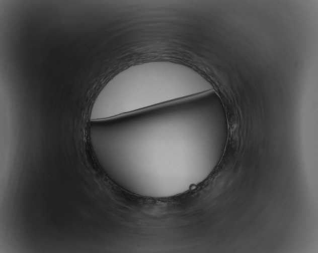 X0000098100772200804040745