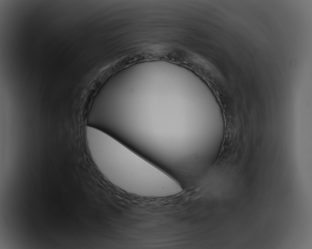 X0000098100773200804040745