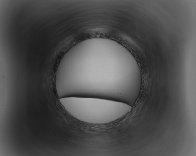 X0000098100774200804040745