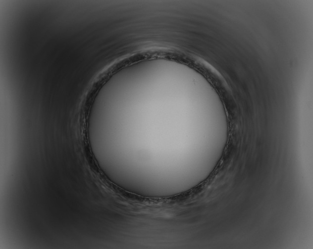 X0000098100775200804040745