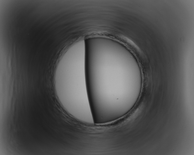 X0000098100777200804040745