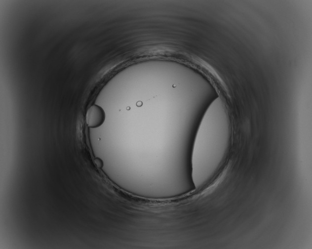 X0000098100778200804040745