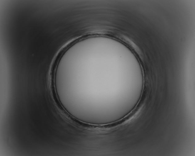 X0000098100779200804040745
