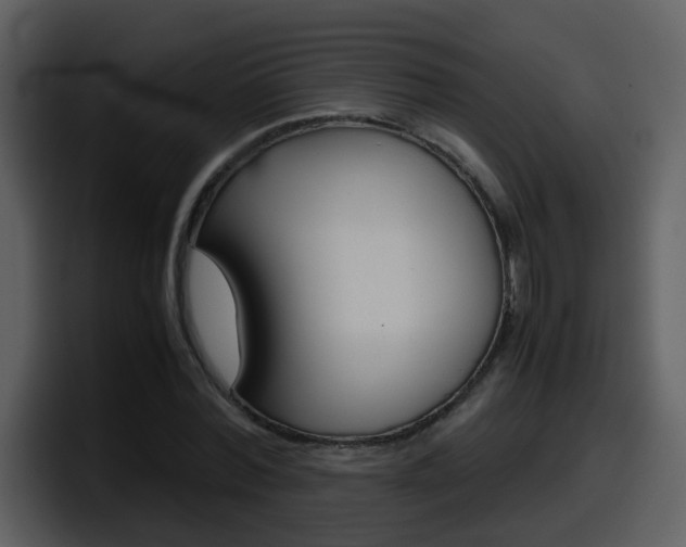 X0000098100780200804040745
