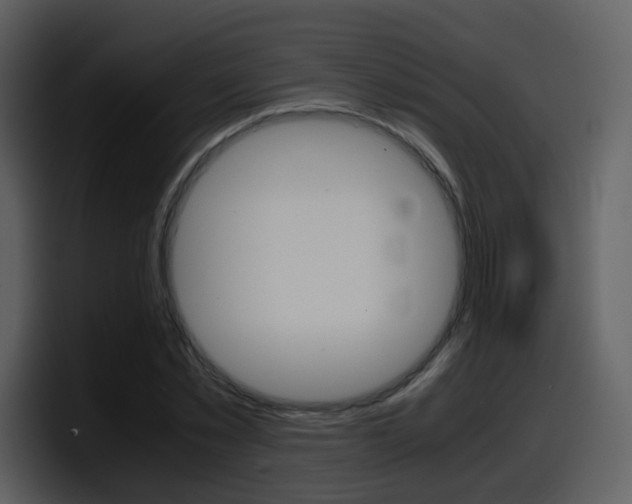 X0000098100781200804040745