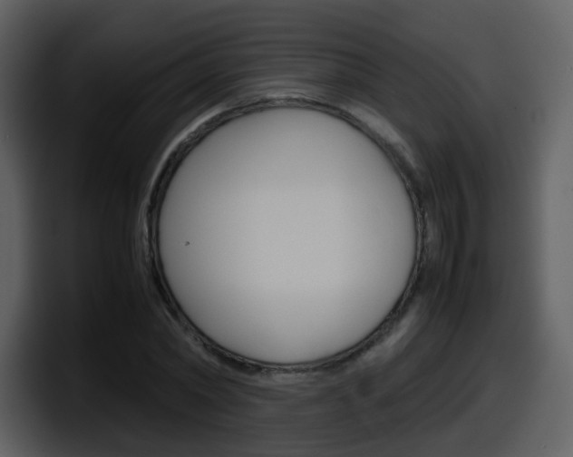 X0000098100782200804040745