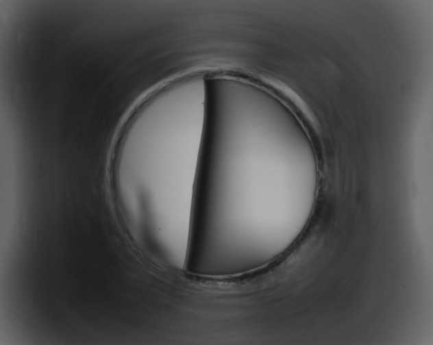 X0000098100783200804040745