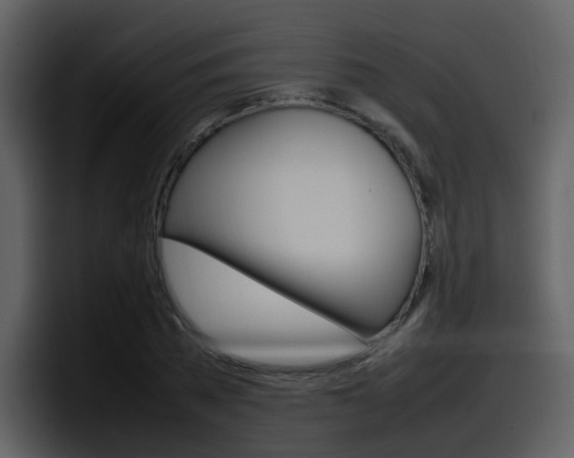 X0000098100785200804040745